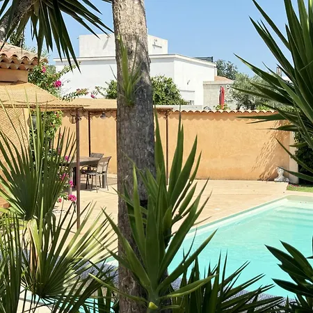 Gite Des Figuiers - 2 Hebergements - Piscine, Jacuzzi, Parking Roquebrune-sur-Argens Exterior photo