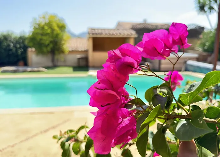 Gite Des Figuiers - 2 Hebergements - Piscine, Jacuzzi, Parking