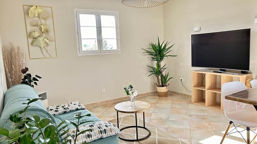 Apartment Des Figuiers - 2 Hebergements - Piscine, Jacuzzi, Parking
