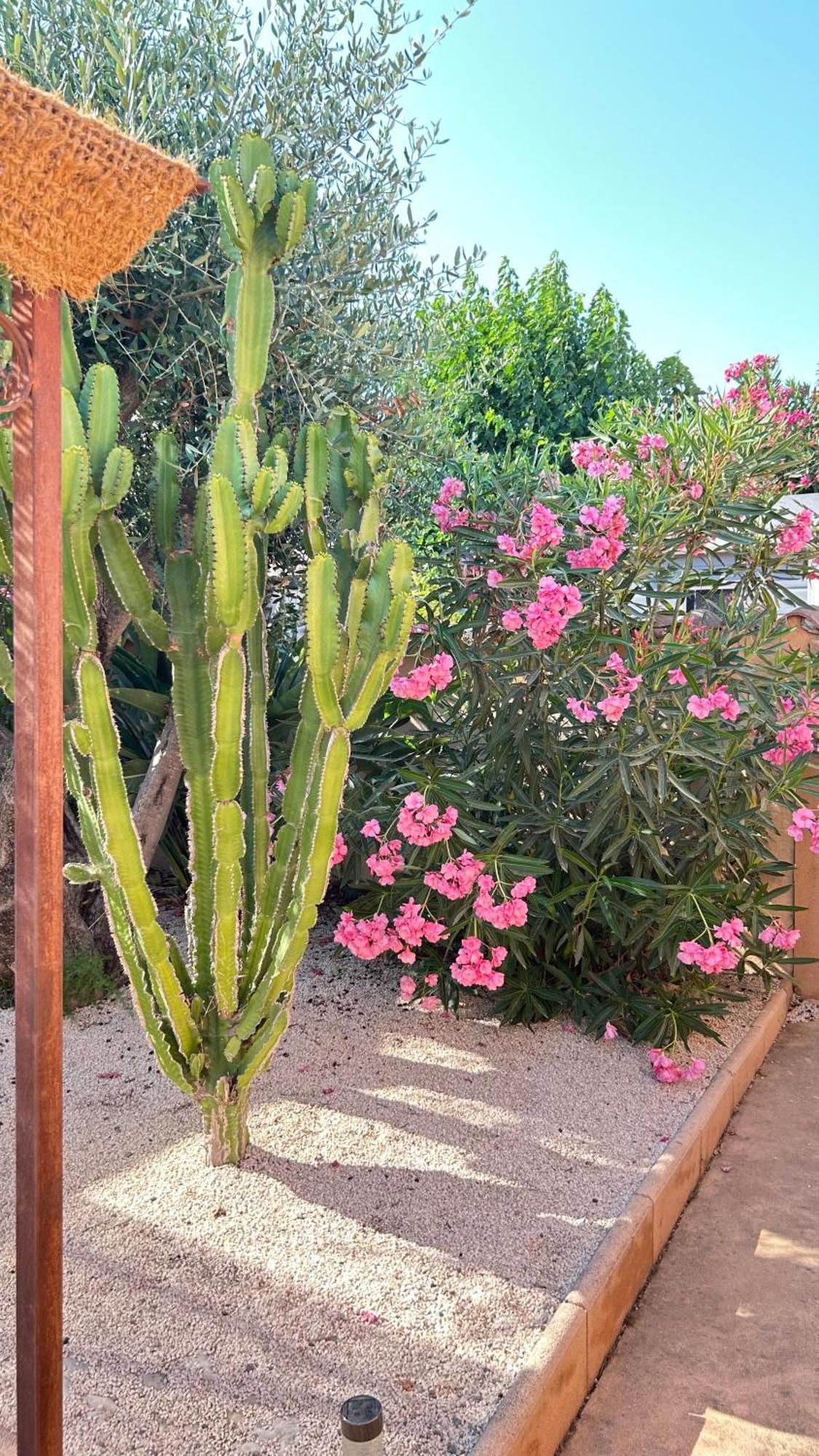 Des Figuiers - 2 Hebergements - Piscine, Jacuzzi, Parking Apartment Roquebrune-sur-Argens