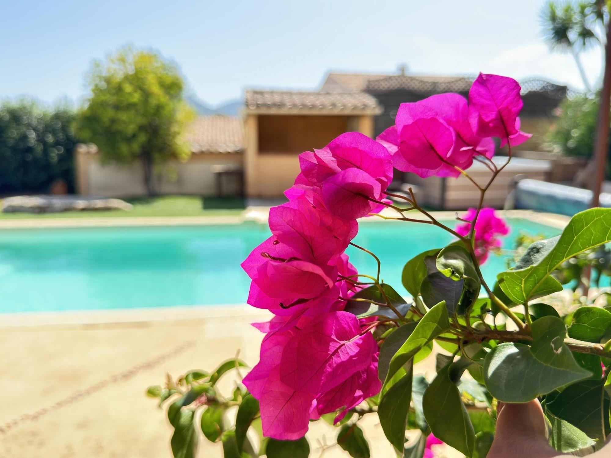 Des Figuiers - 2 Hebergements - Piscine, Jacuzzi, Parking